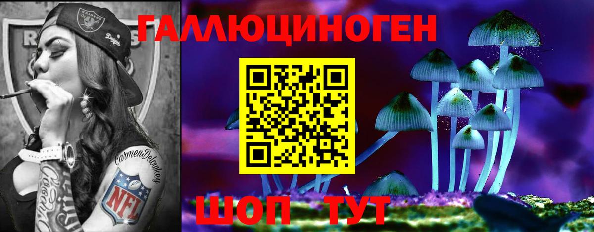 Псилоцибиновые грибы мицелий Берёзовский